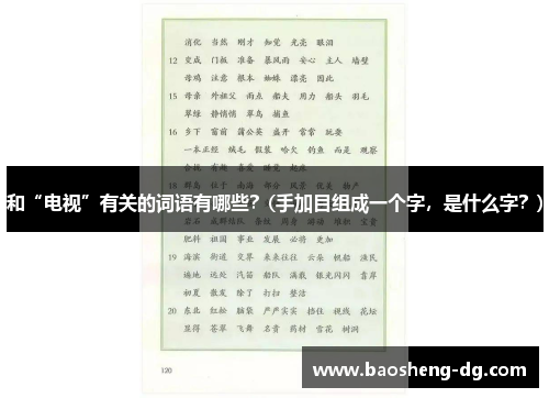 和“电视”有关的词语有哪些？(手加目组成一个字，是什么字？)
