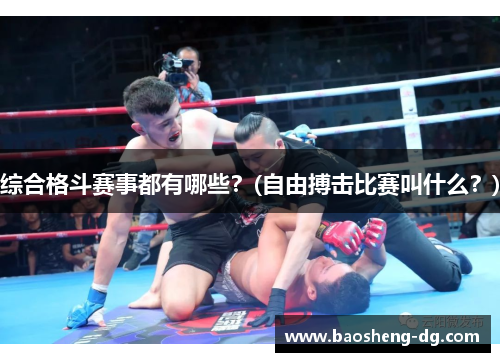 综合格斗赛事都有哪些？(自由搏击比赛叫什么？)